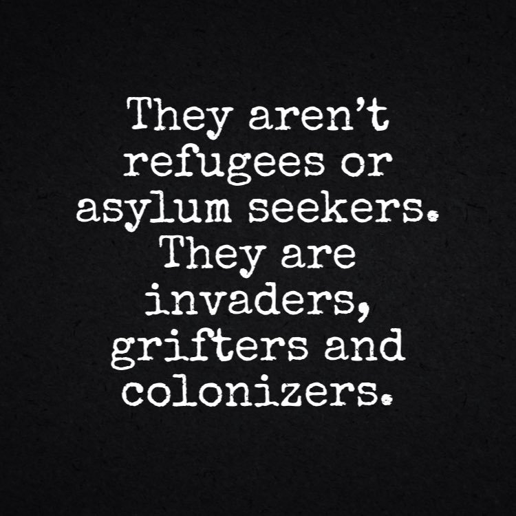 ce-ne-sont-pas-des-refugies-mais-des-profiteurs.jpg