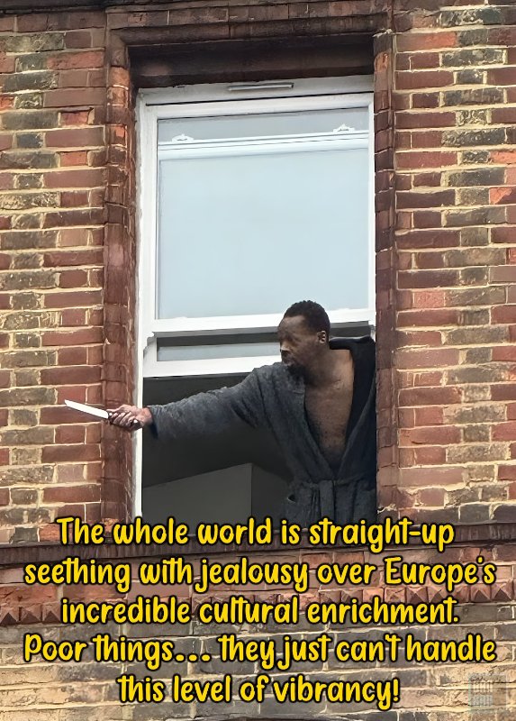 l-enrichissement-culturel-de-l-europe-qui-fait-supposement-l-envie-du-monde-entier.jpg