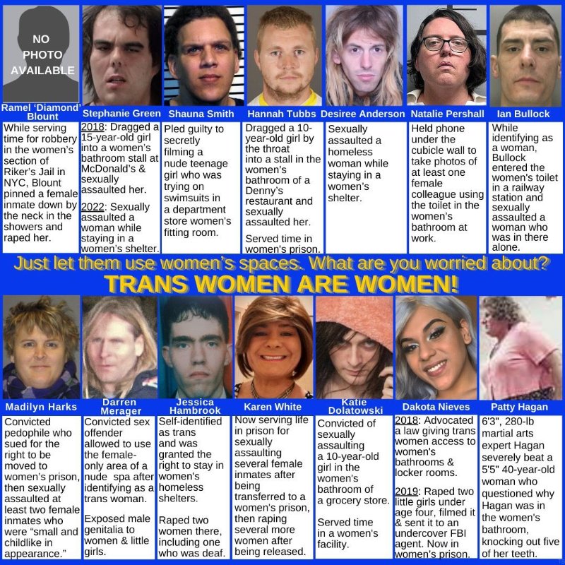 les-trans-qui-sont-des-pervers-et-des-violents.jpg