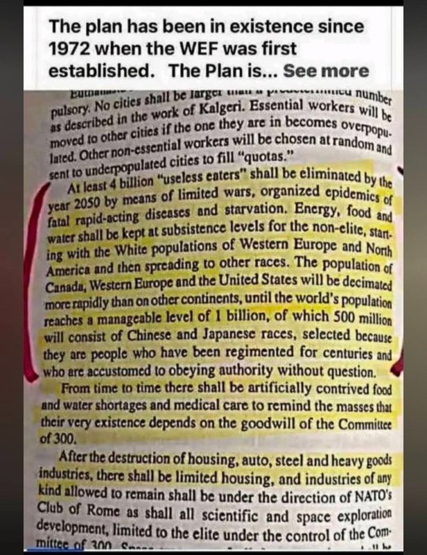 le-plan-contre-les-blancs-d-occident.jpg
