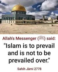 domination-islamique.jpg