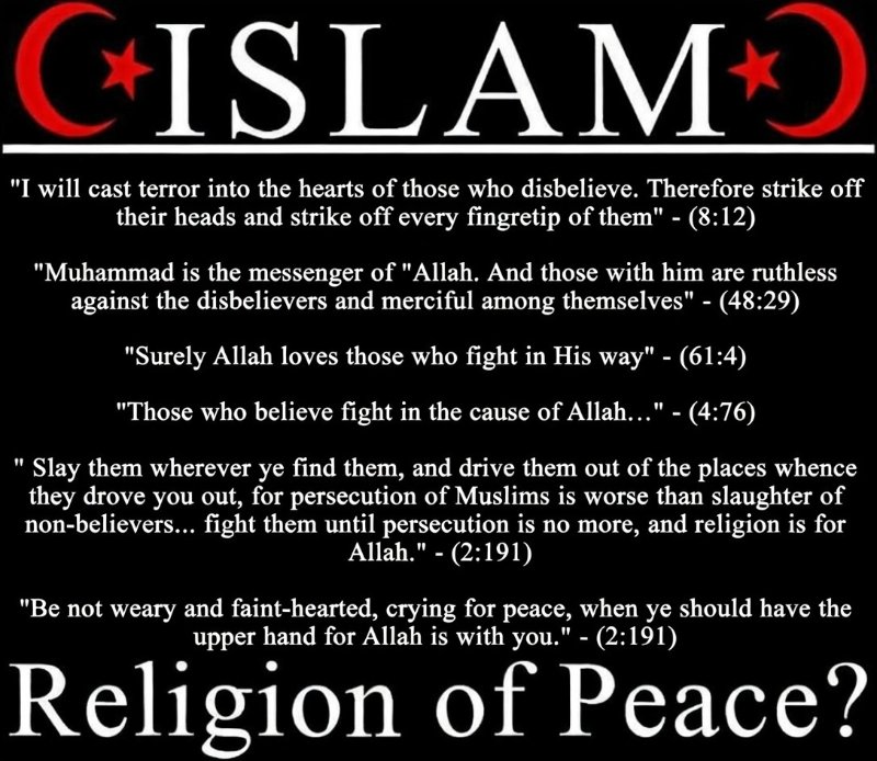 islam-des-demons.jpg