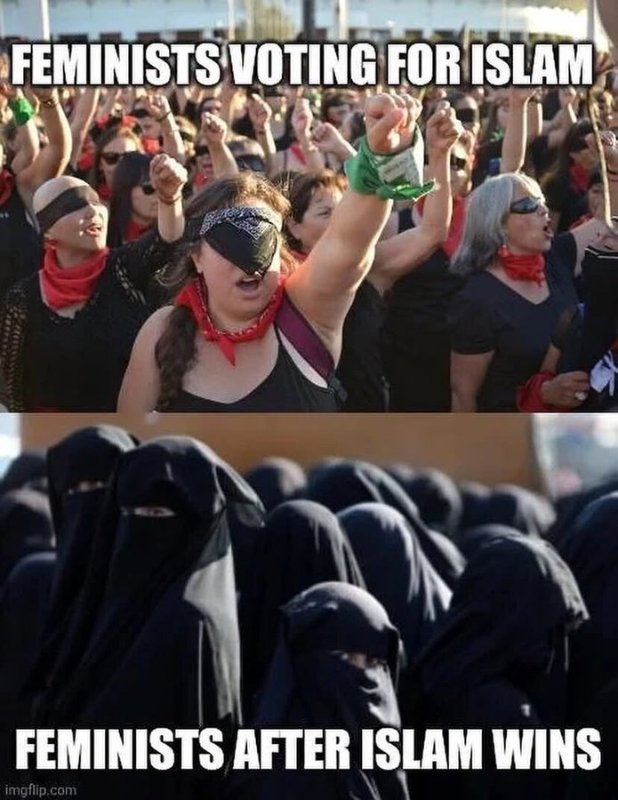 feministes-qui-votent-pour-l-islam.jpg