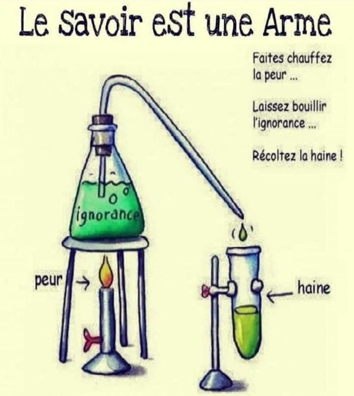 le-savoir-est-une-arme.jpg