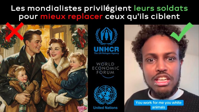 les-mondialistes-nous-remplacent.jpg