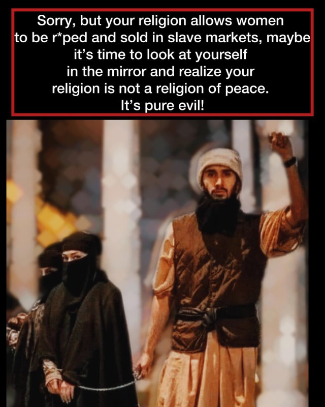la-verite-a-propos-de-l-islam.jpg