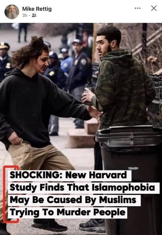 les-islamistes-brisent-l-occident.jpg