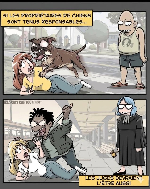 les-juges-wokes-qui-tuent-les-occidentaux-par-leur-negligence.jpg