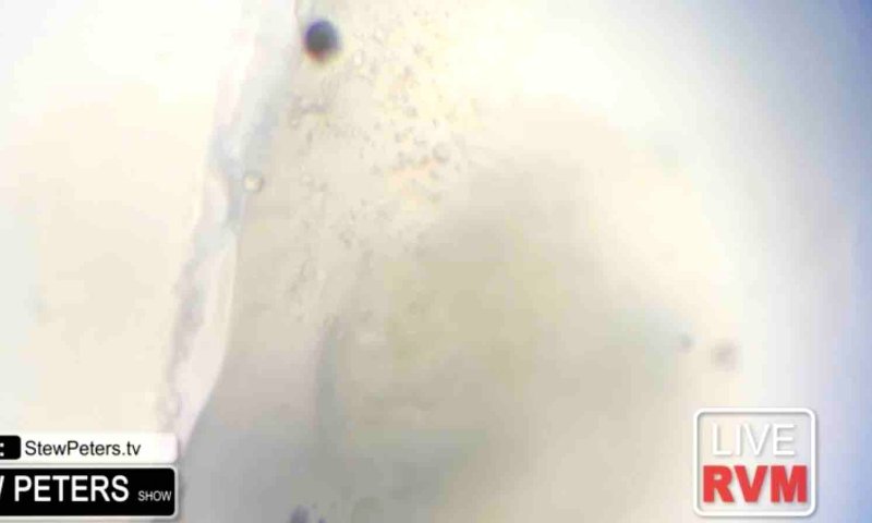 substance-collante-comme-un-hydrogel-dans-le-vaccin-jnj.jpg