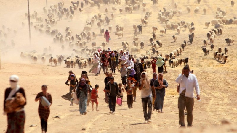 En août 2014, par milliers, les Yézidis fuyaient la région du Sinjar. <br /><br />Source: https://www.vaticannews.va/fr/podcast/les-dossiers-de-la-redaction/2024/08/des-interets-geopolitiques-prennent-en-etau-les-yezidis.html
