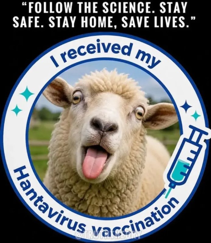 vaccination-contre-le-hantavirus.jpeg