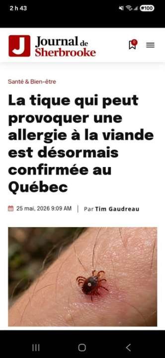 Source: https://www.facebook.com/61559646216416/posts/122307269288321540/?rdid=MmN0huaVsqqyBf4s#