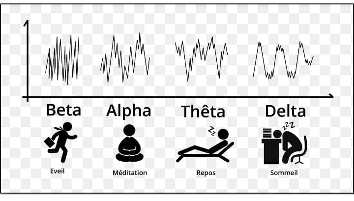 delta-theta-alpha-et-beta-les-ondes.jpg