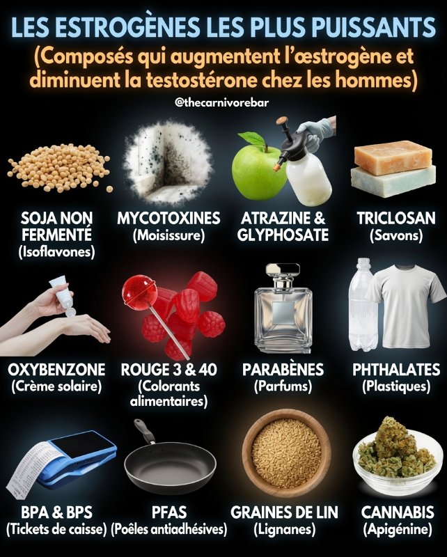 estrogenes-a-eviter.jpg