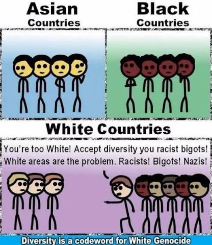 la-guerre-contre-les-blancs.jpg