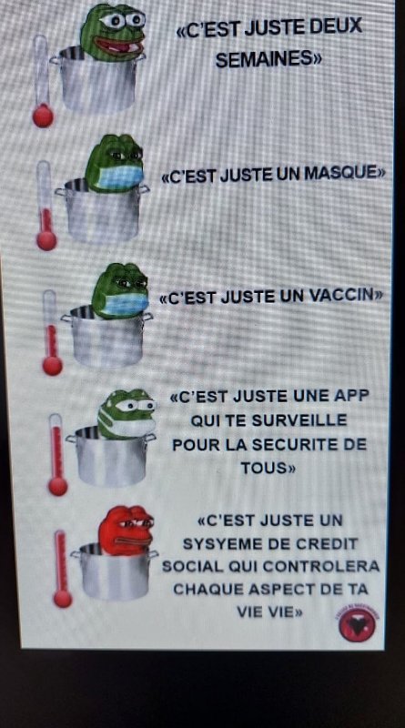 la-grenouille-qui-bouille-sans-trop-s-en-rendre-compte.jpg