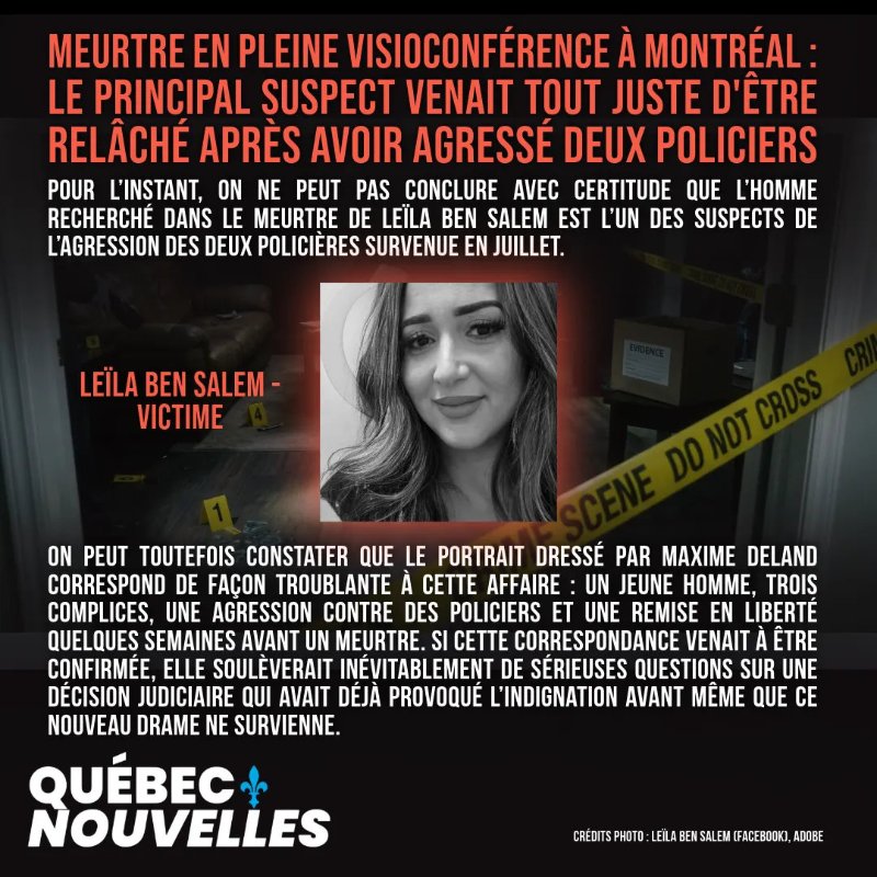Source: https://quebecnouvelles.substack.com/p/meurtre-en-pleine-visioconference