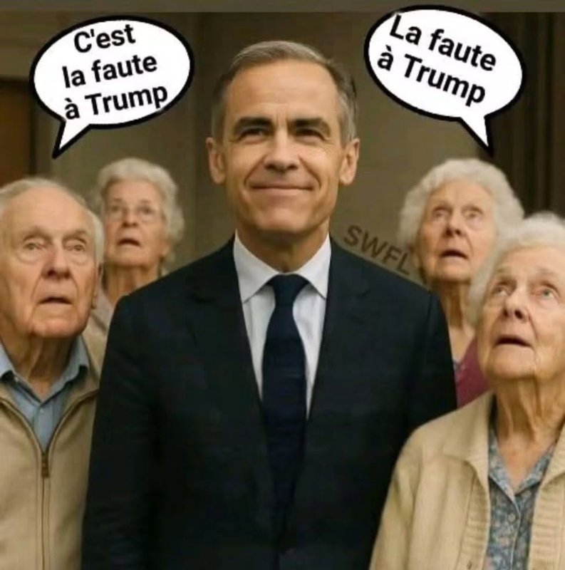 les-vieux-liberaux-qui-votent-pour-mark-carney.jpg