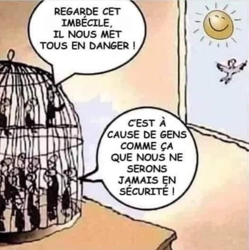 nous-ne-serons-jamais-en-securite-disent-les-encages.jpg