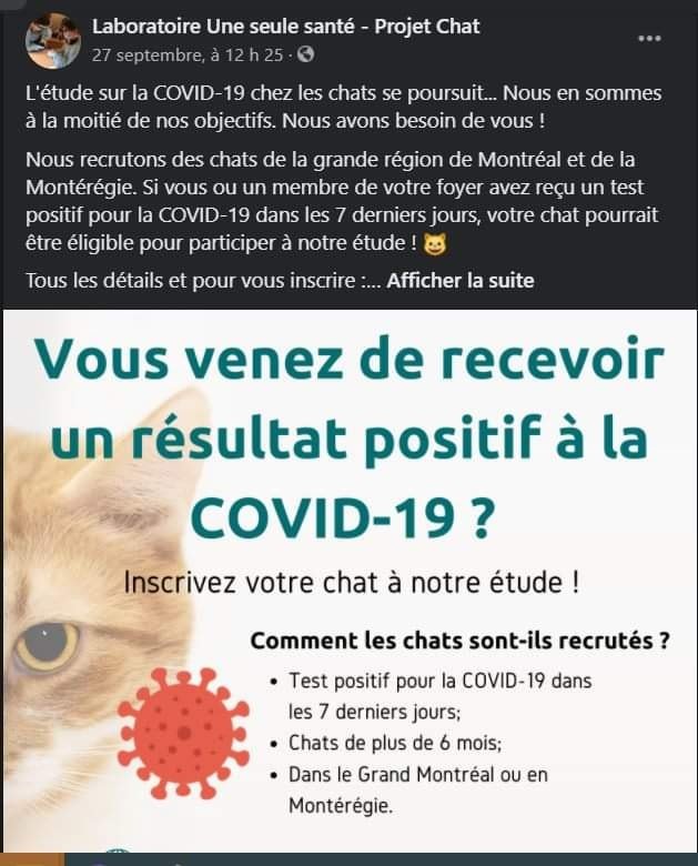si-vous-venez-de-recevoir-un-resultat-positif-a-la-covid-19.jpg