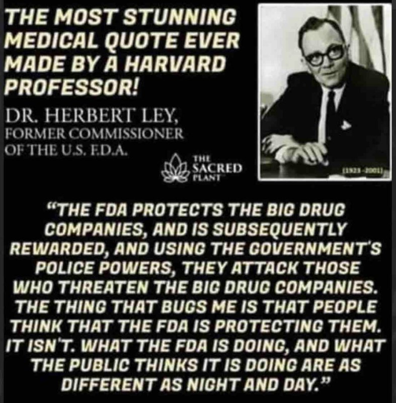 la-fda-protege-big-pharma.jpg
