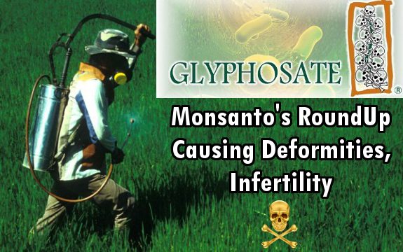 le-glyphosate-qui-cause-des-deformites-et-de-l-infertilite.png