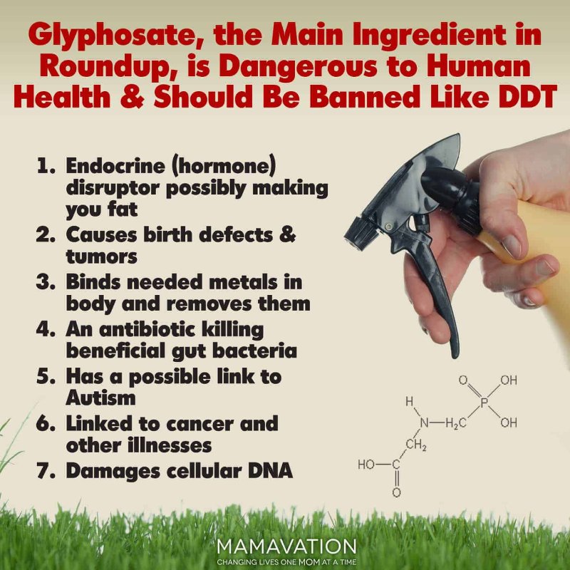 les-effets-du-glyphosate.jpg