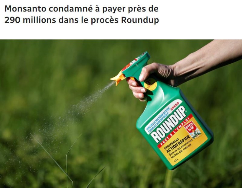 monsanto-condamne-juin-2019.JPG
