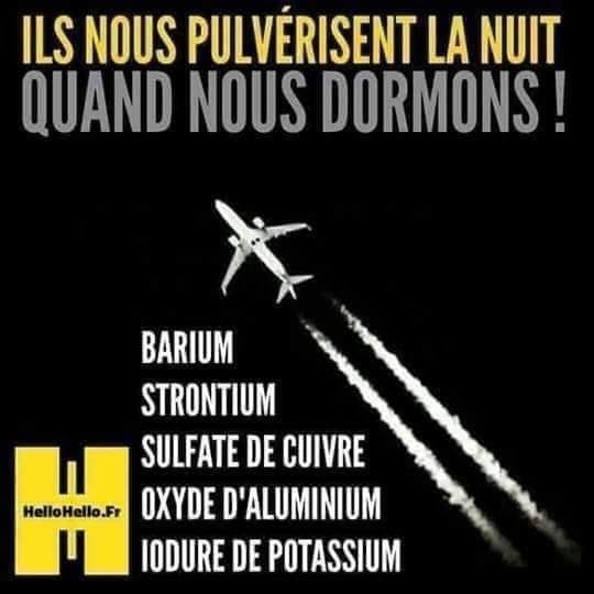 ils-nous-ulverisent-la-nuit.jpg