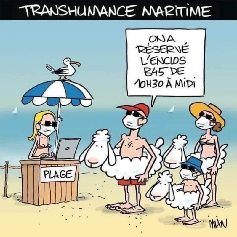 la-plage--en-temps-de-plandemie-avec-des-masques.jpg