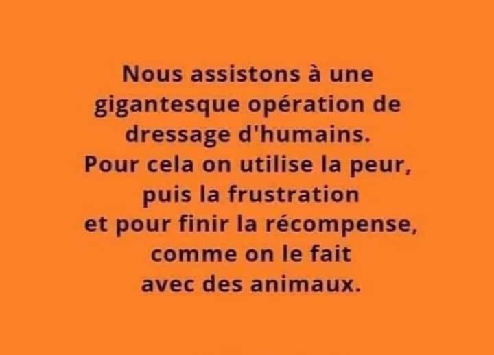 le-dressage-des-humains-sous-couvert-de-plandemie.jpg