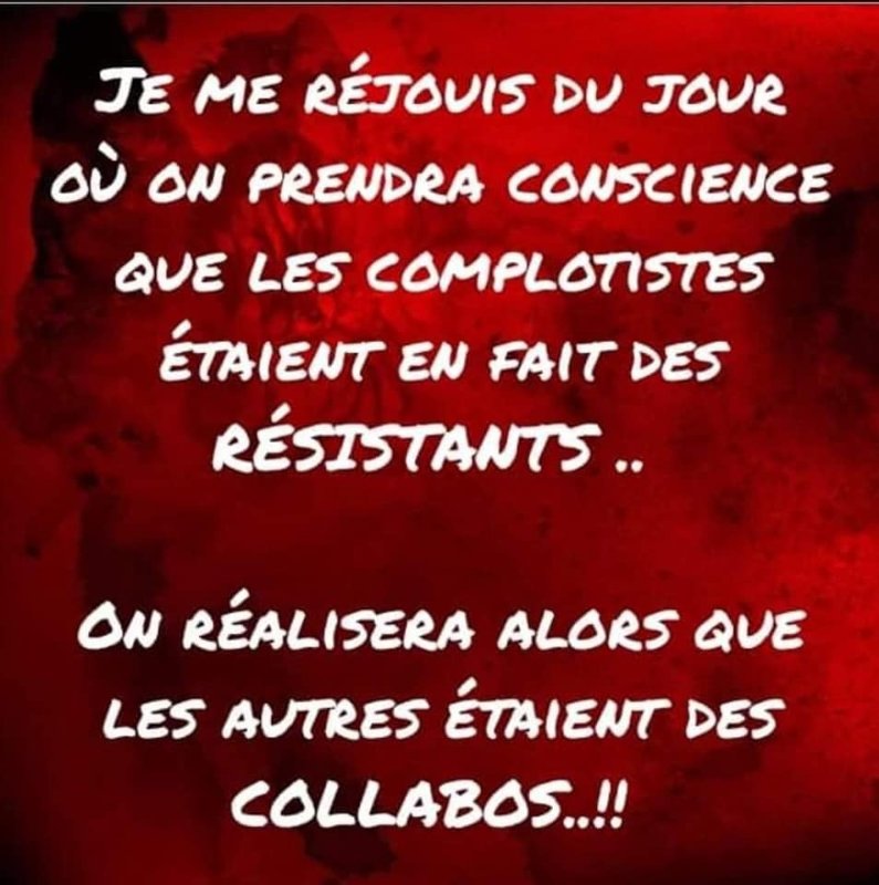 les-resistants-lucides-contre-les-collabos-soumis.jpg