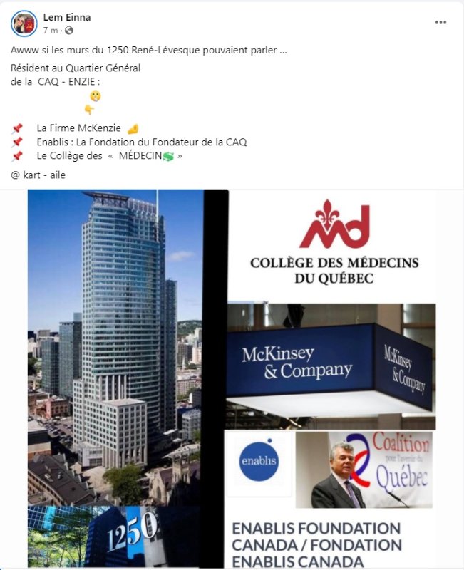 liens-enablis-mckinsey.jpeg