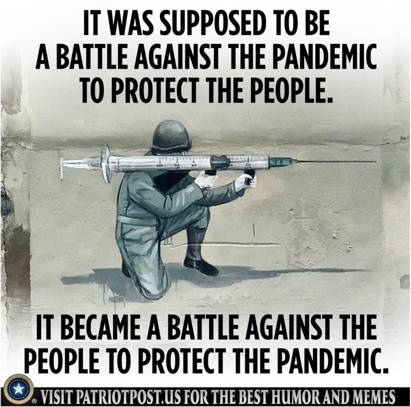 la-guerre-covid-contre-les-peuples.JPG