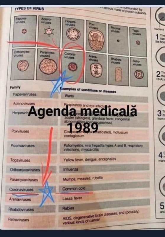 agenda-medical-de-1989.jpg