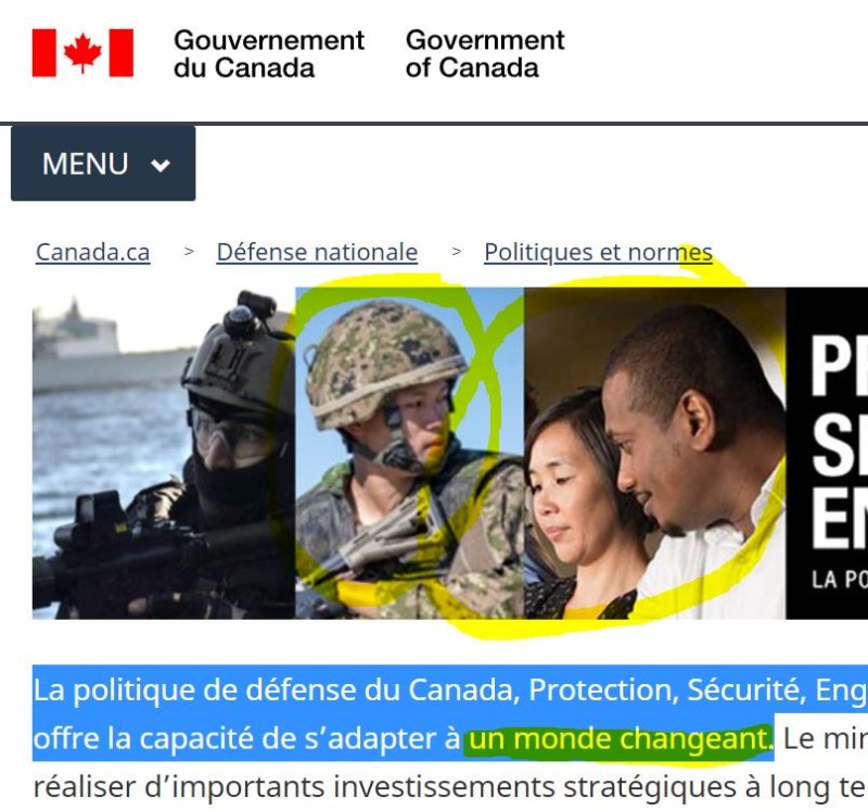 plus-d-asiatiques-que-de-caucasiens-sur-la-page-du-pse-de-l-armee-canadienne-novembre-2021.JPG