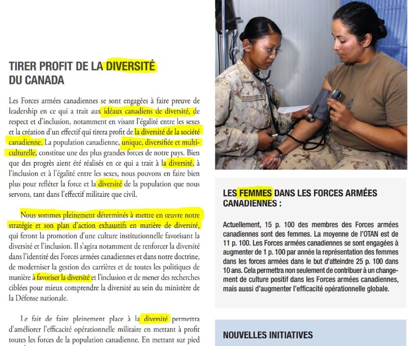 la-diversite-dans-l-armee-canadienne.JPG