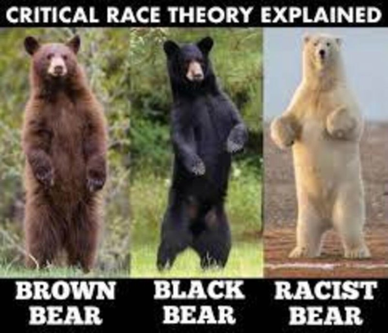 critical-race-theory-explained.jpeg