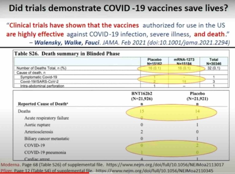 les-etudes-ont-elles-demontre-que-les-vaccins-covid-19-sauvaient-des-vies.jpg