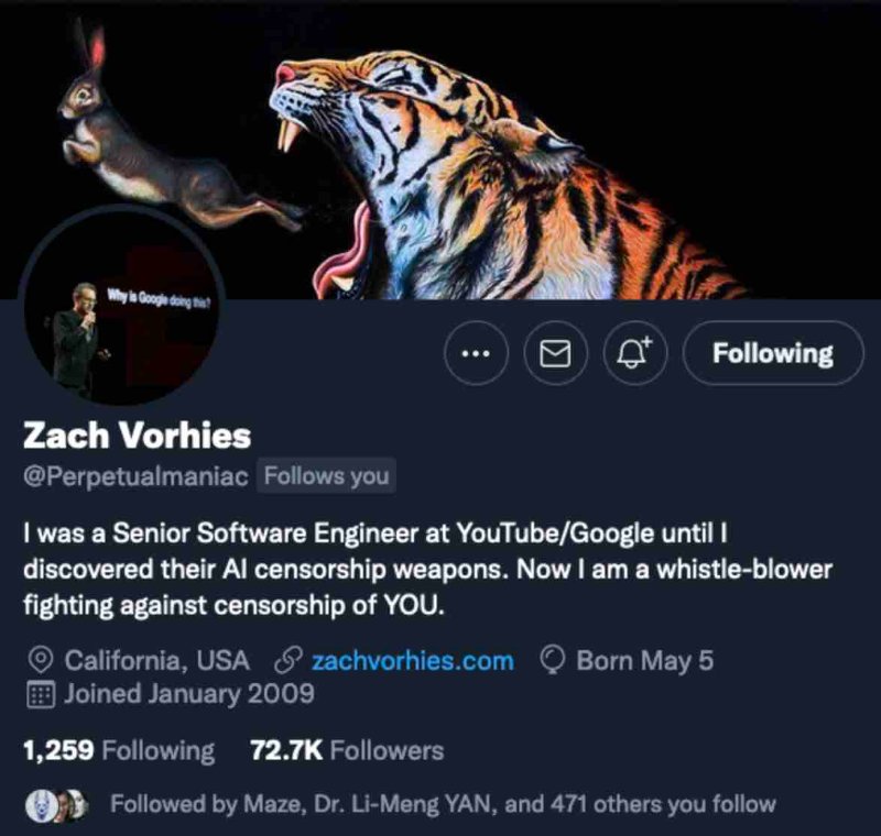 twitter-de-zach-vorhies.jpg