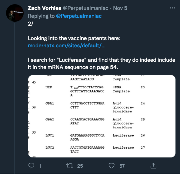 zach-vorhies-2.png