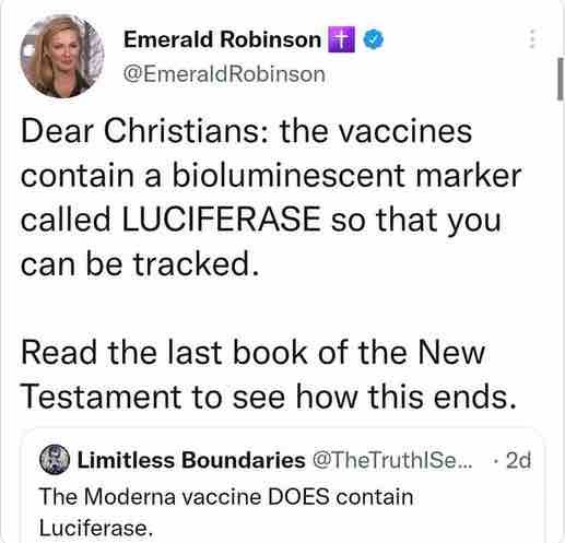 le-tweet-d-emerald-robinson.jpg