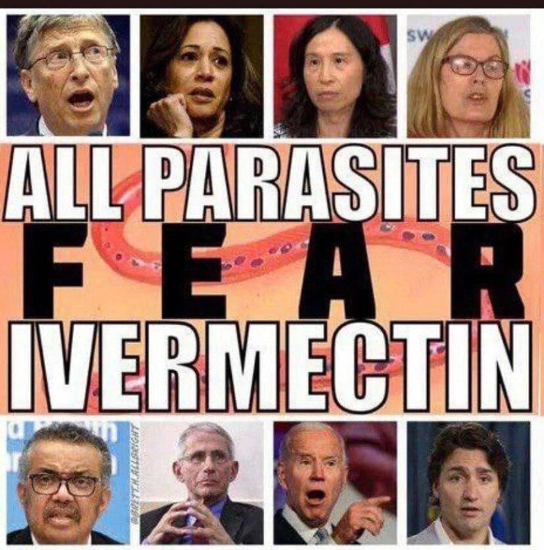 tous-les-parasites-ont-peur-de-l-ivermectine.jpg