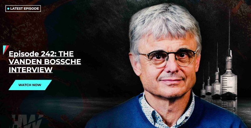 l-entrevue-de-geert-vanden-bossche.jpg