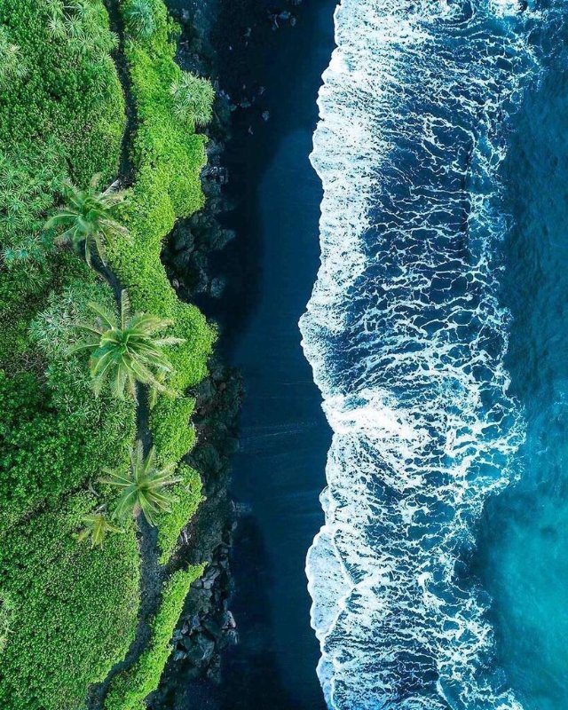 beach-and-green-trees.jpg
