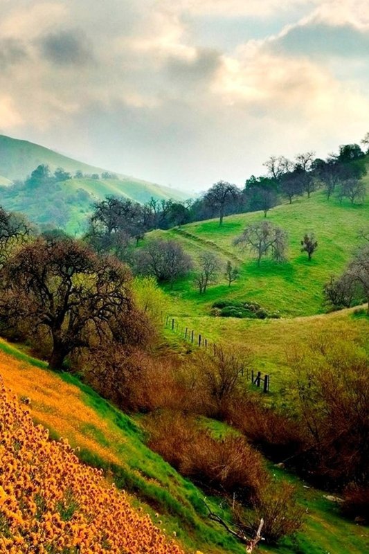 countryside.jpg