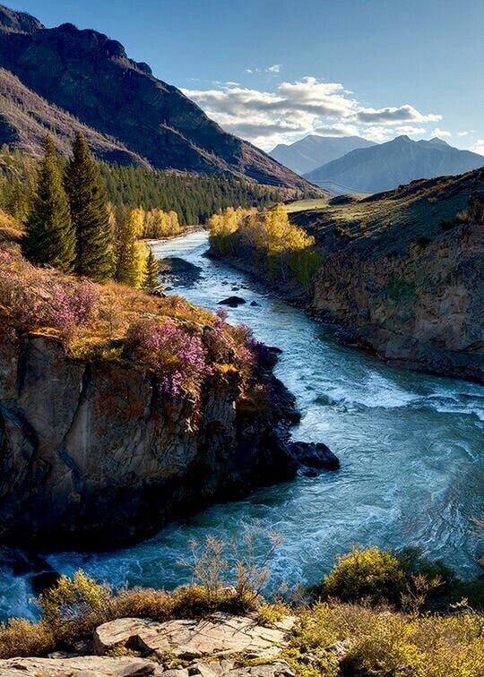 inspiration-en-conscience-9.jpg
