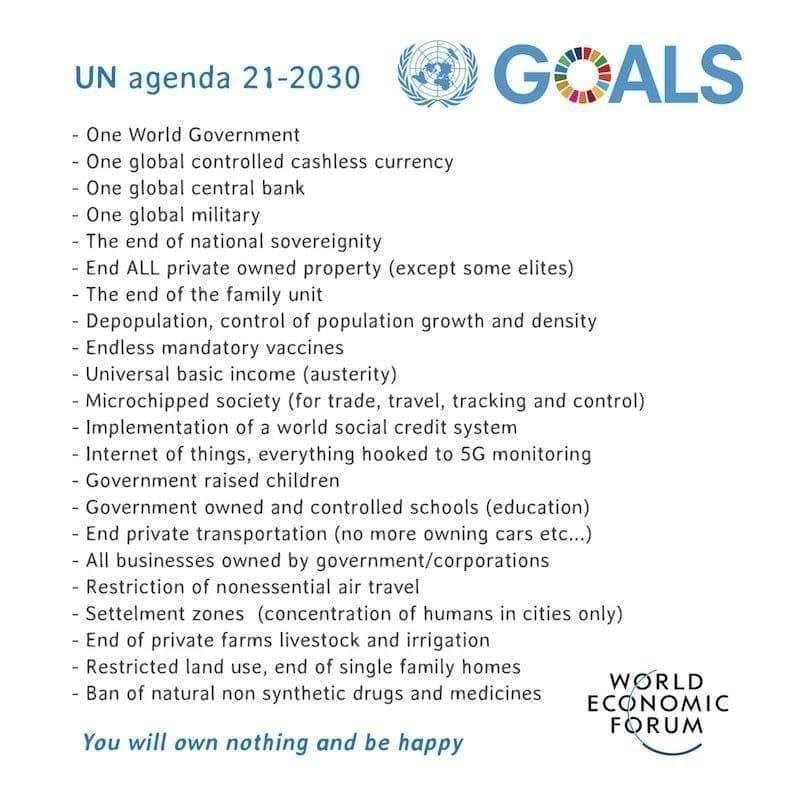 les-buts-de-l-onu-et-du-fem.jpg