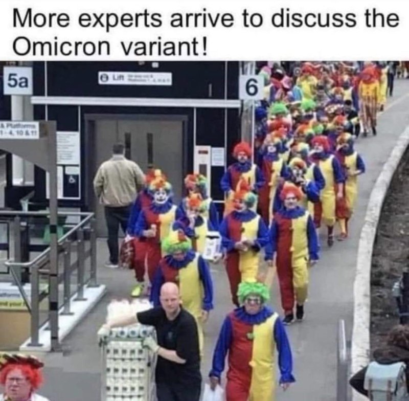 les-experts-arrivent-pour-parler-du-variant-omnicron.jpg