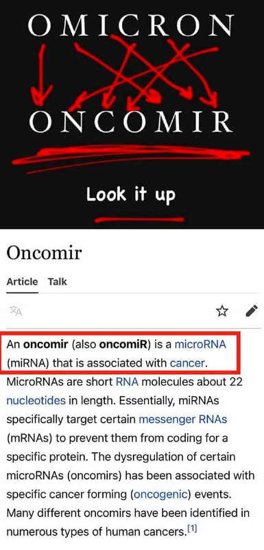 omicron-devient-oncomir-soit-l-arnm-du-cancer.png